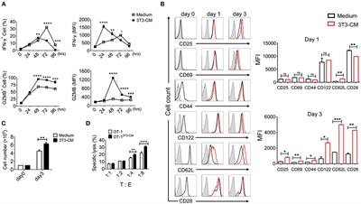 NIH3T3 Directs Memory-Fated CTL Programming and Represses High Expression of PD-1 on Antitumor CTLs